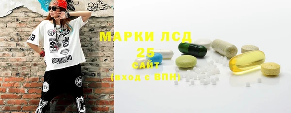 твердый Новодвинск